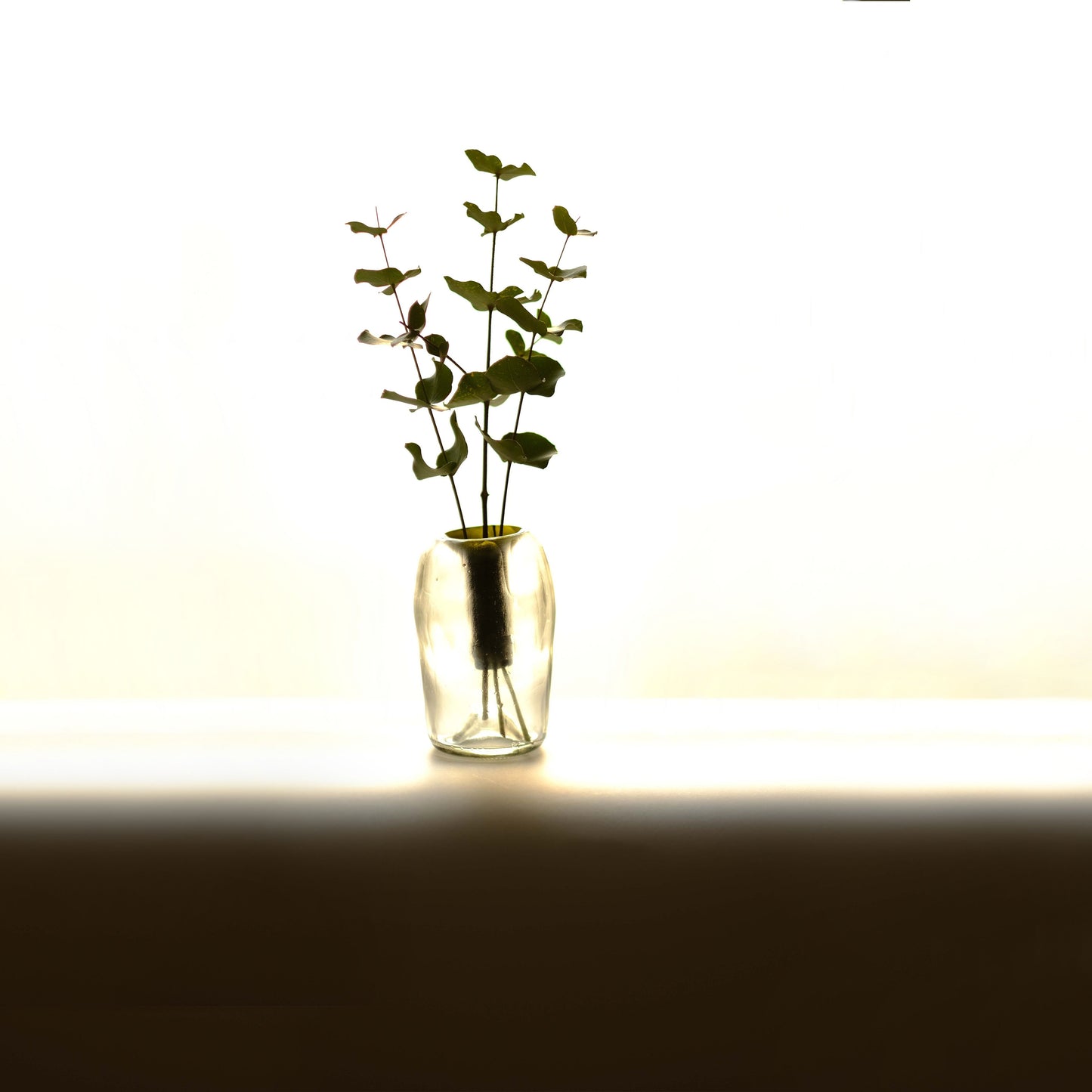 Vaso monofiore bicolor